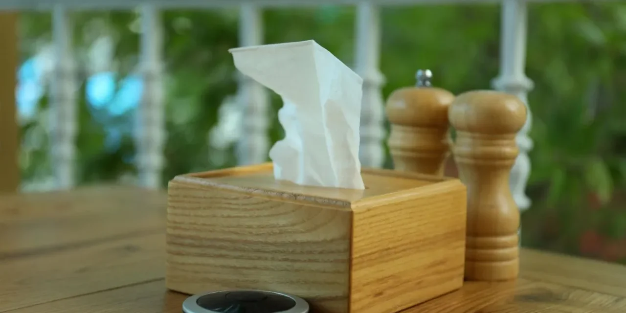 Produk Tisu Yang Terbuat Dari Kayu Dan Bambu