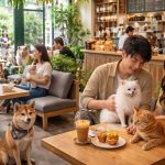 Tempat Usaha Cafe Nongkrong Dengan Hewan Peliharaan