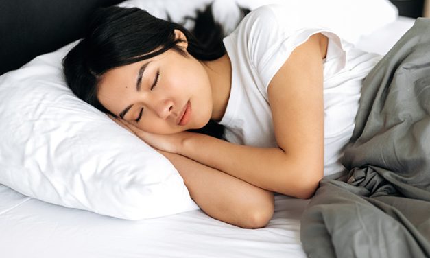 Aktivitas Tidur Yang Sangat Panjang Atau Hibernasi