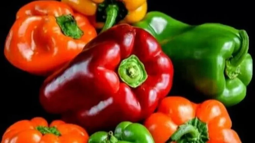 Sayuran Paprika Yang Mempunyai Beberapa Jenis Warna