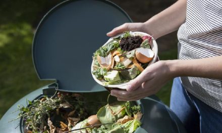 Bahan Sisa Sampah Agar Di Olah Dengan Baik