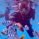 Olahraga Rekreasi Air Snorkeling Yang Melihat Keindahannya