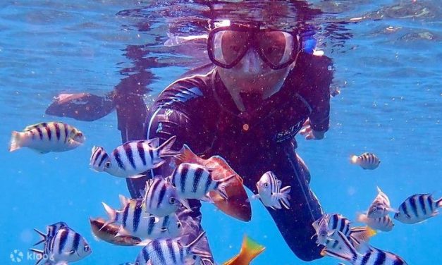 Olahraga Rekreasi Air Snorkeling Yang Melihat Keindahannya