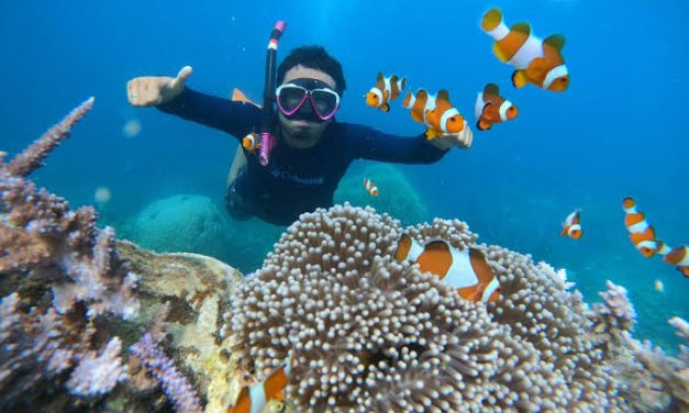 Kegiatan Air Snorkeling Dengan Cara Aman