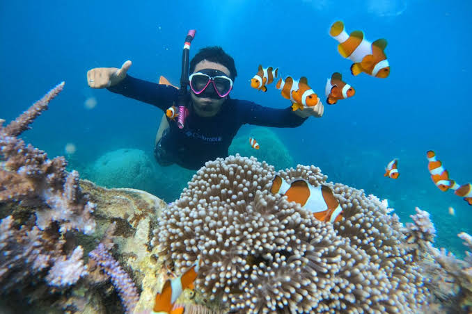 Kegiatan Air Snorkeling Dengan Cara Aman