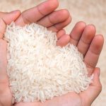 Bahan Pangan Pokok Sebuah Beras Kebutuhan Manusia