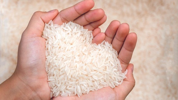 Bahan Pangan Pokok Sebuah Beras Kebutuhan Manusia