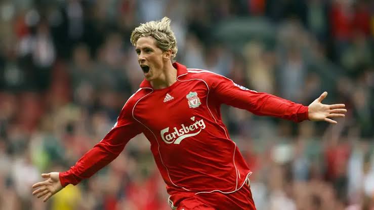 Seseorang Pesepakbola Dunia Fernando Torres