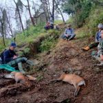 Seseorang Kegiatan Berburu Dengan Senjata Lengkap