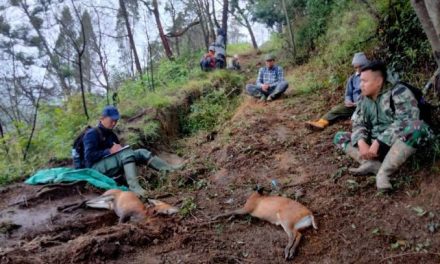 Seseorang Kegiatan Berburu Dengan Senjata Lengkap