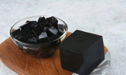 Kuliner Kenyal Cincau Sebagai Makanan Maupun Minuman