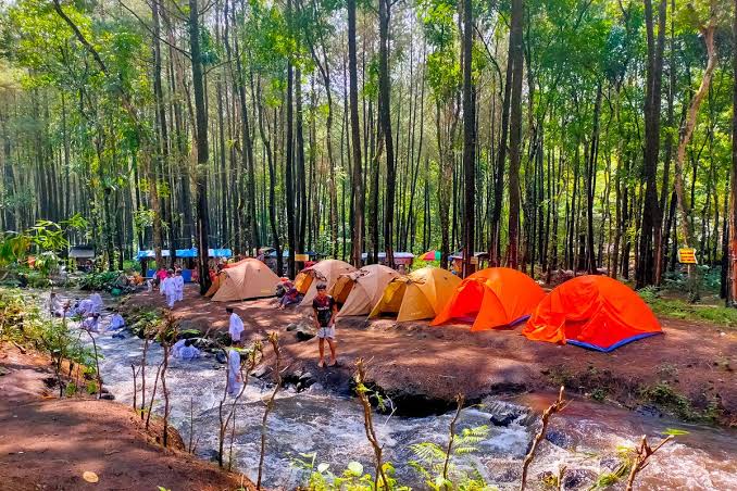 Kegiatan Alam Kemah Dengan Tenda Dan Perlengkapan